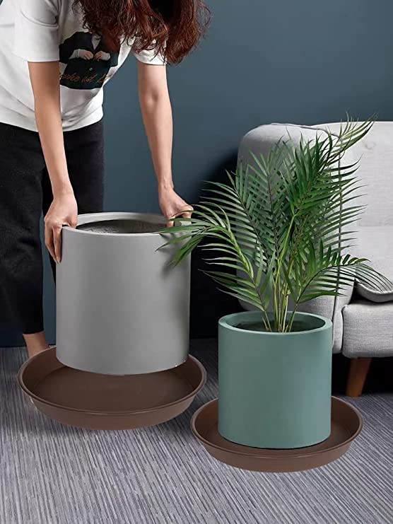 Bleuhome 12-inch green plant saucer, top view, catches overflow to protect indoor surfaces.