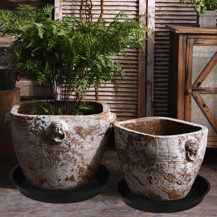 Bleuhome plant saucer 2.7 inch depth for overflow collection