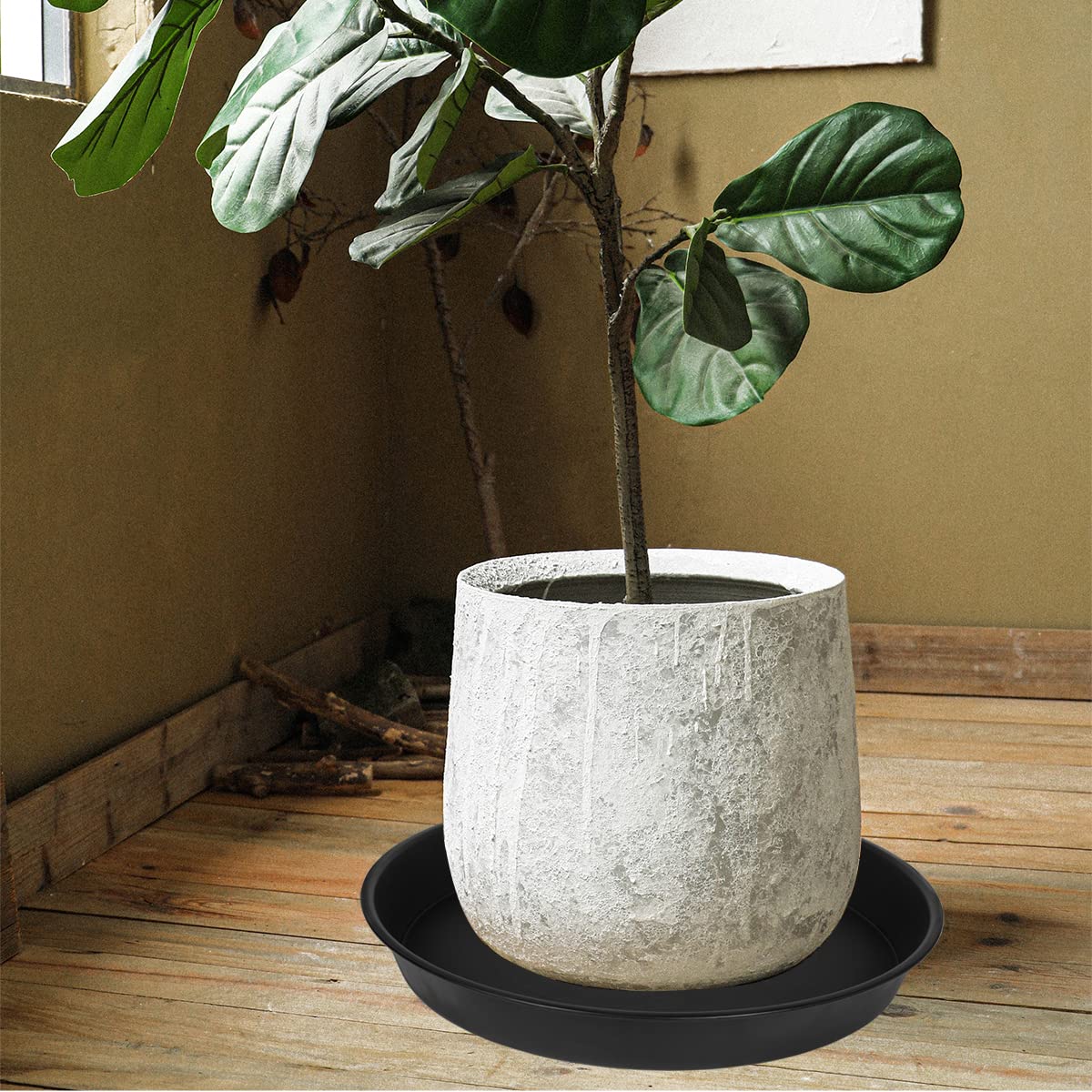Bleuhome plant saucer used as a bird bath or feeder in a garden