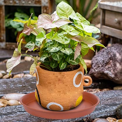 Bleuhome water-overflow tray catching runoff — protects surfaces.