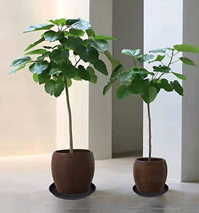 Bleuhome water tray helps protect surfaces from plant excess moisture