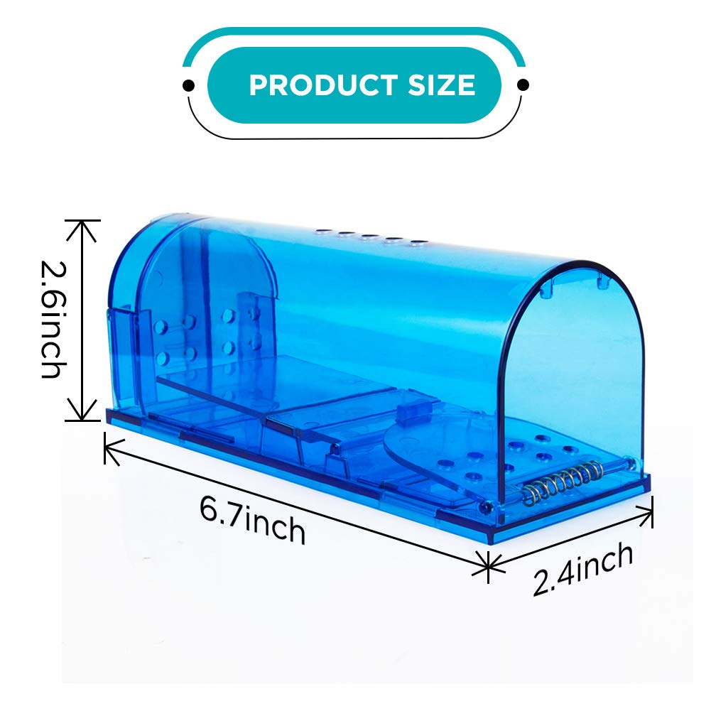 Blinc durable ABS plastic body highlights long-lasting use.
