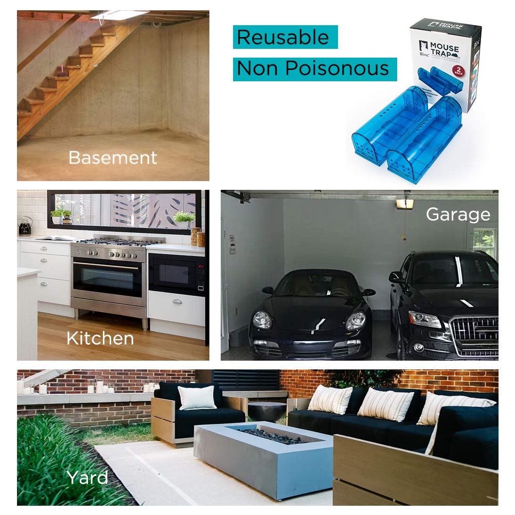 Blinc transparent blue design blends with home decor.