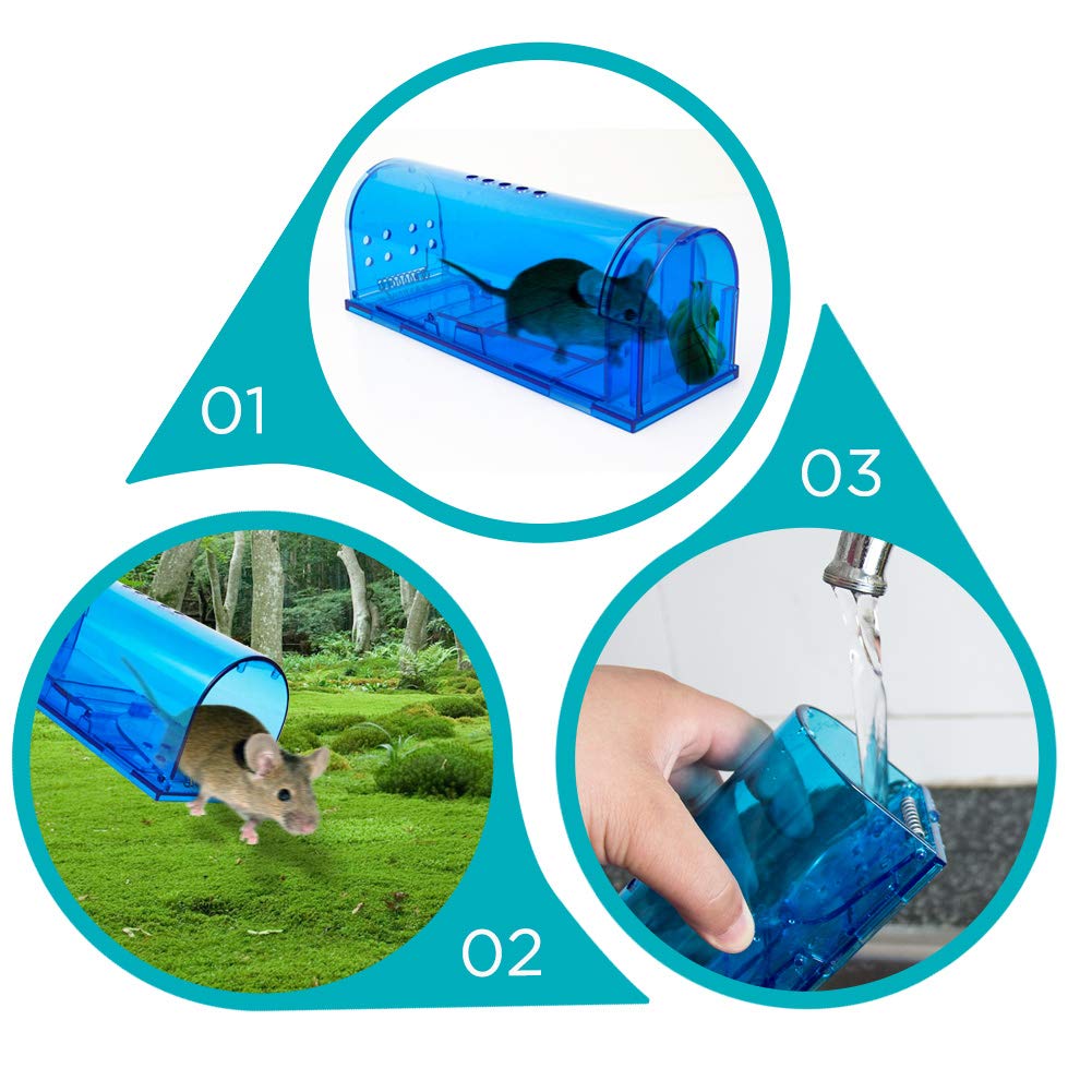 Blinc humane mouse trap ventilation holes close-up, stress-free capture.
