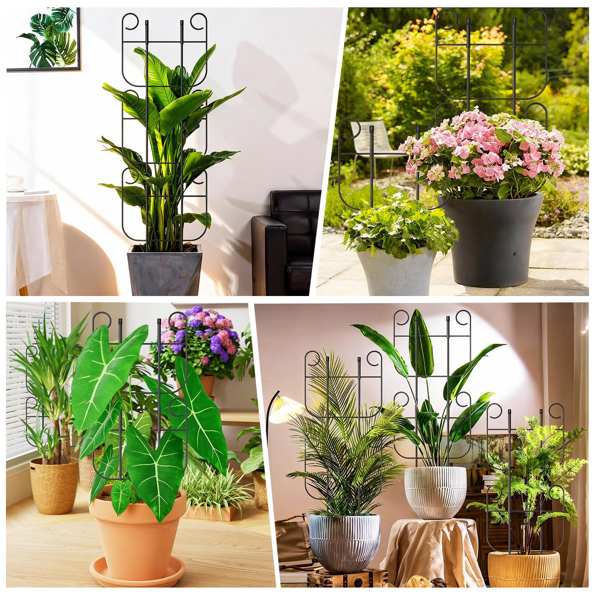 Blingluck compact 2-pack ideal for small indoor spaces