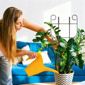 Blingluck ivy and pothos training with climber trellis