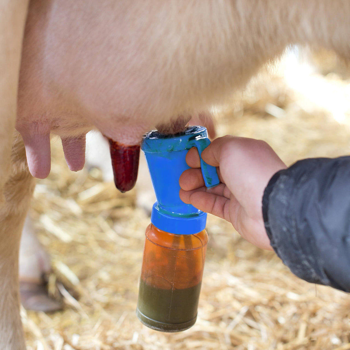 Blisstime teat dip cup blue on-farm use with belt clip