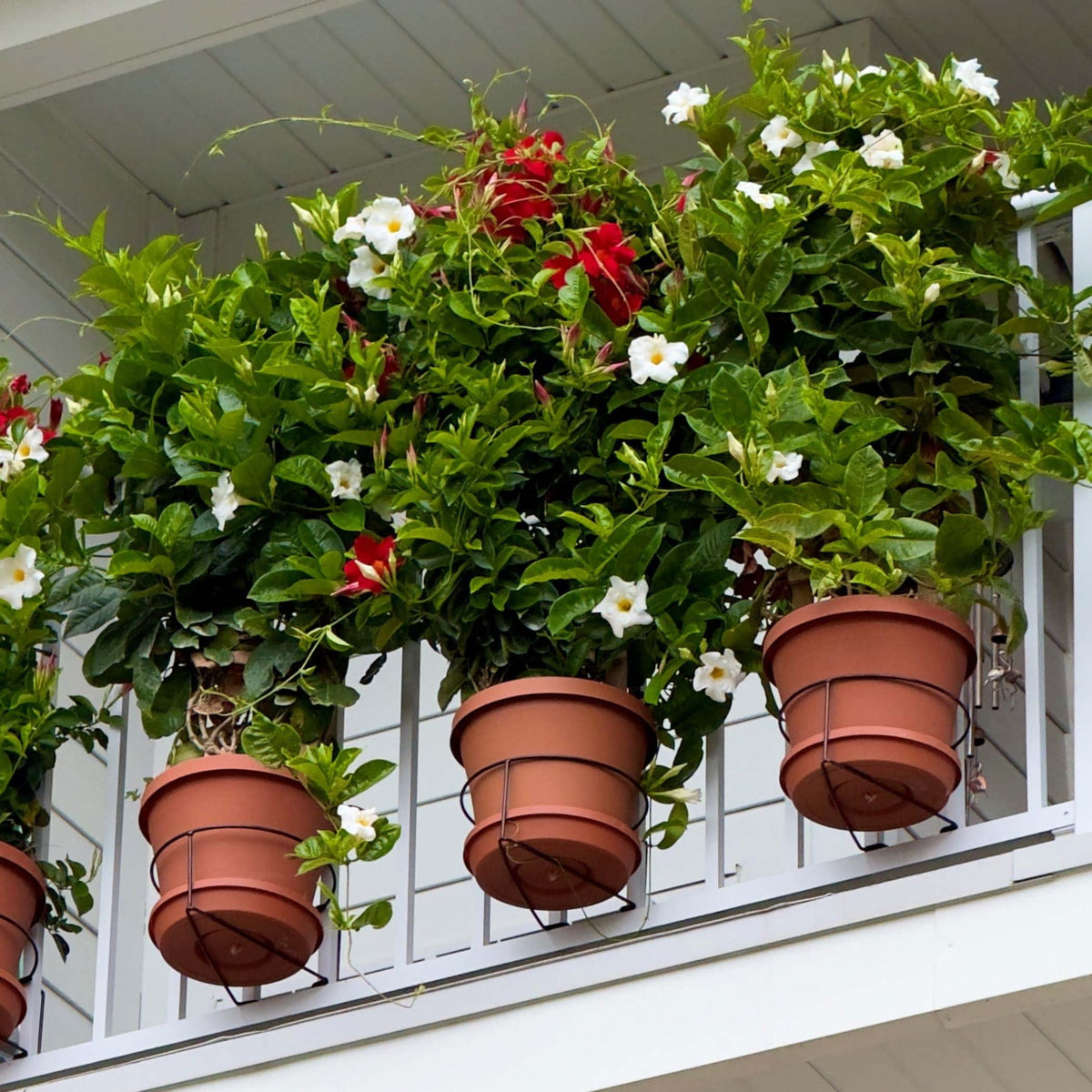 Bloem adjustable-height clip allows precise planter positioning.