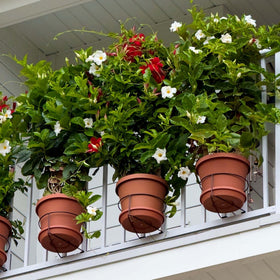 Bloem adjustable-height clip allows precise planter positioning.