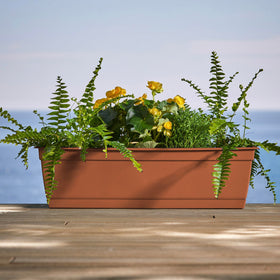 Bloem Dayton saucer tray keeps soil contained and surfaces protected