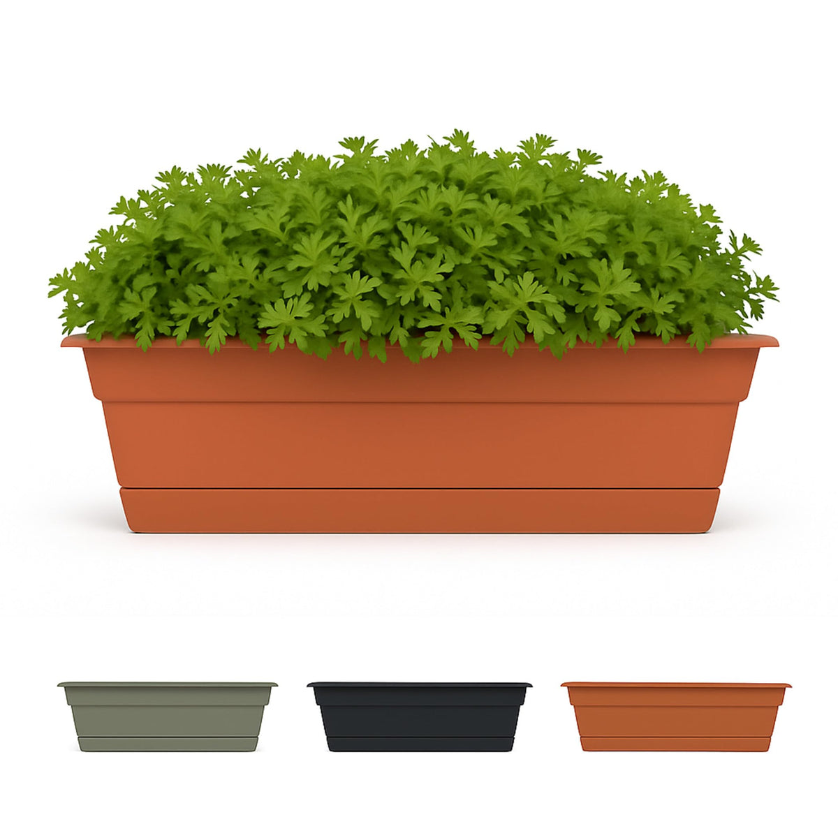Bloem Dura Cotta window box planter 24 inch for outdoor herb gardens