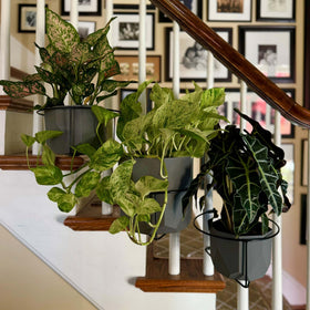 Bloem Railscapes clip mounting on railing shows tool-free installation ease.