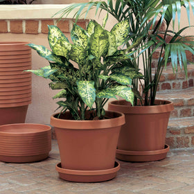 Bloem Terra planter showing drainage holes for healthy watering