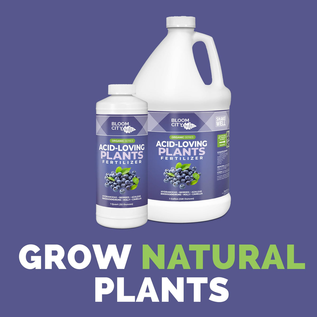 Bloom City acid-loving plant fertilizer in garden bed demonstrates convenient application for steady growth.