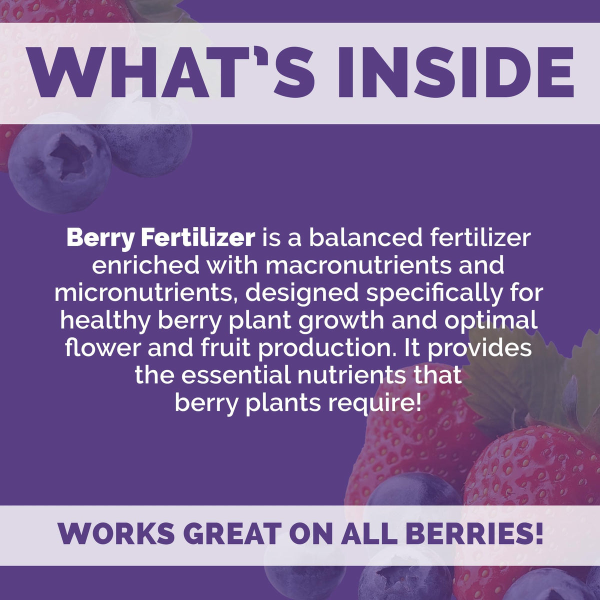 Pouring Bloom City Organic Berry Fertilizer from bottle into watering can to support steady fruiting in containers