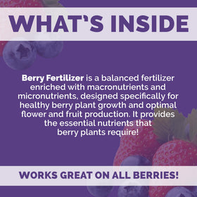 Pouring Bloom City Organic Berry Fertilizer from bottle into watering can to support steady fruiting in containers