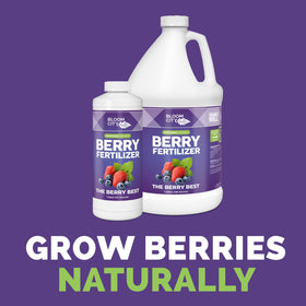 Bloom City Organic Berry Fertilizer label close-up with ingredients and guidance for healthy berry growth