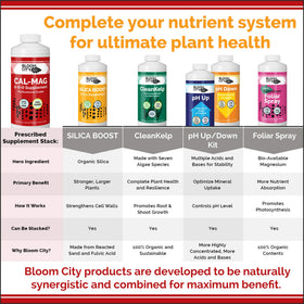 Bloom City Cal-Mag in an outdoor bed with thriving plants.