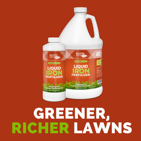 Bloom City Chelated Liquid Iron dilution mix enables even soil uptake.