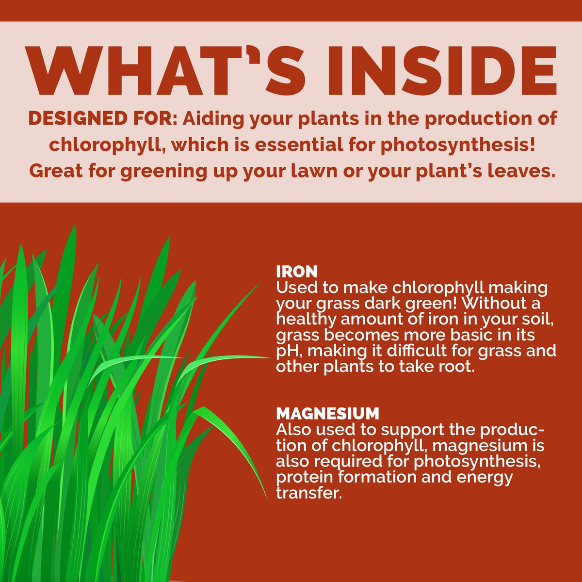 Bloom City green leaves lawn application supports vibrant, even lawn color.