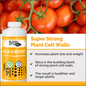Bloom City Liquid Silica Boost dosing spoon illustrates precise mixing for gardens.