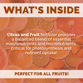 Bloom City Organic Citrus Fertilizer label close-up highlights balanced nutrients for orchard care.