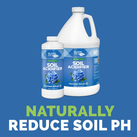 Bloom City Organic Soil Acidifier front label highlighting organic pH support for acid-loving plants