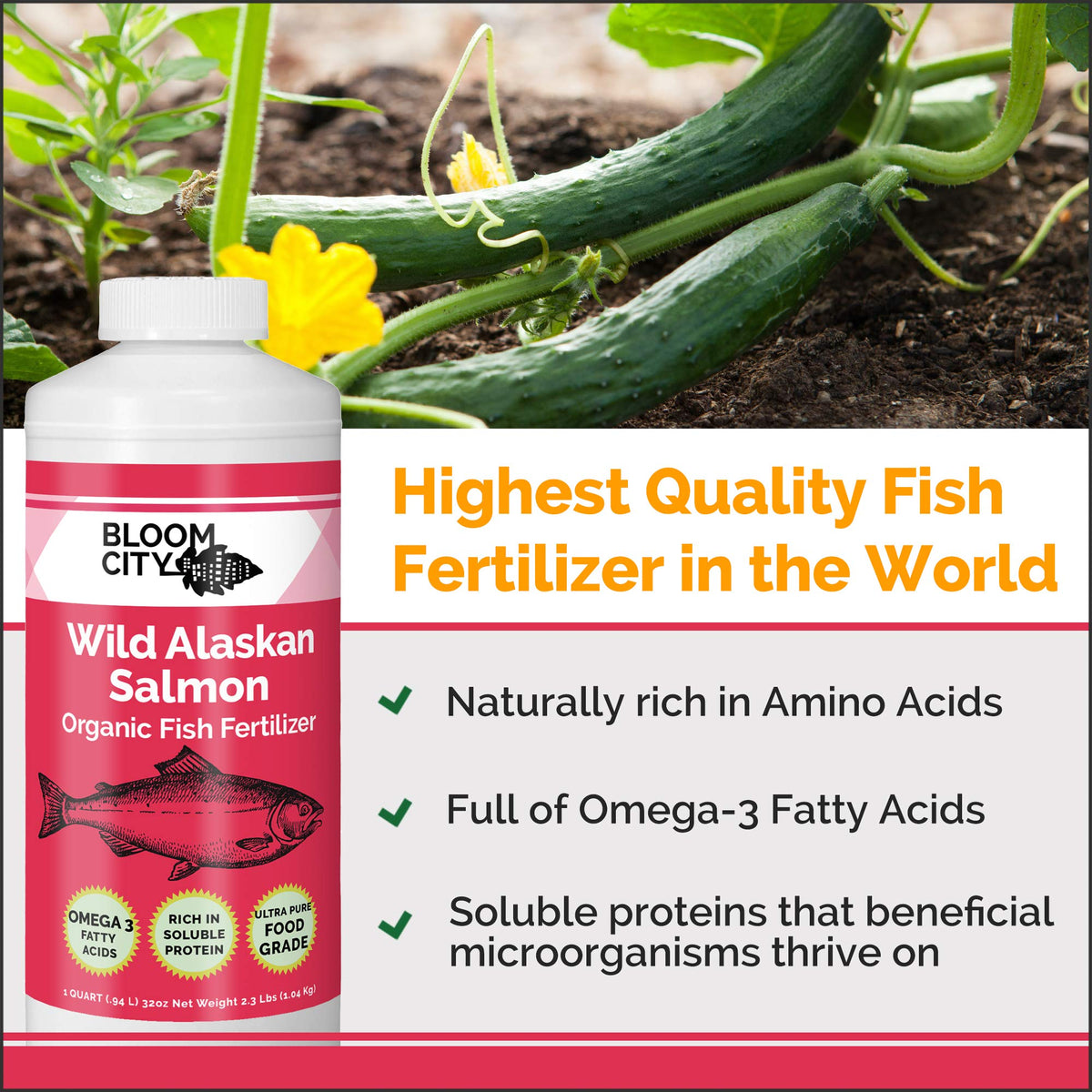 Bloom City Organic Wild Fish Fertilizer label closeup highlighting sustainable sourcing.