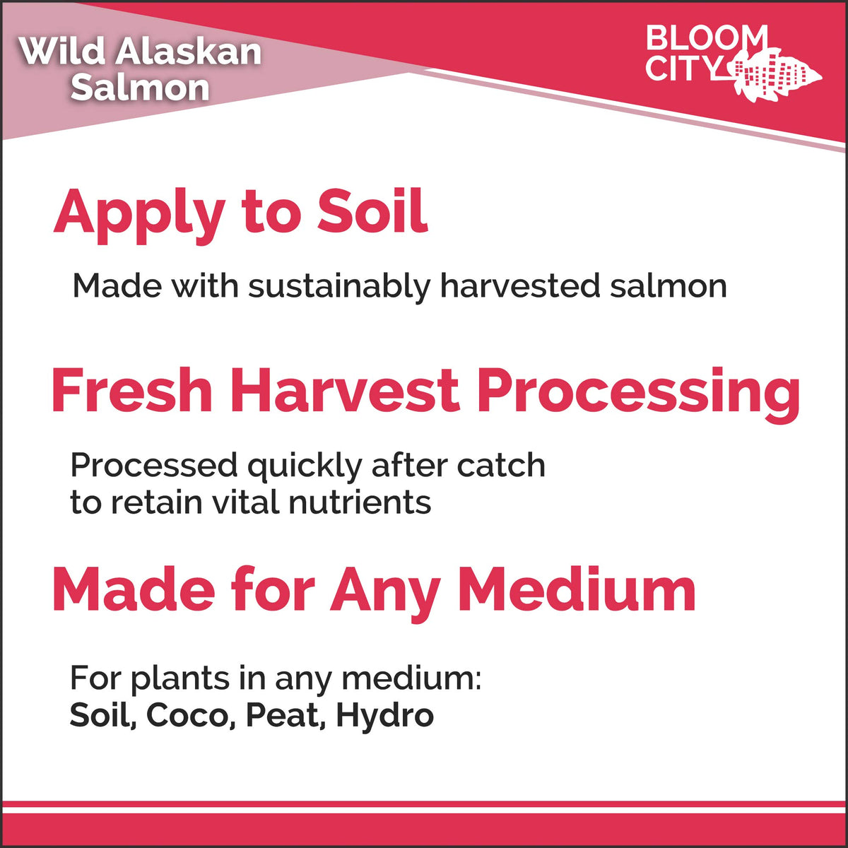 Bloom City Organic Wild Fish Fertilizer ready-to-use bottle in a sunny garden setting.