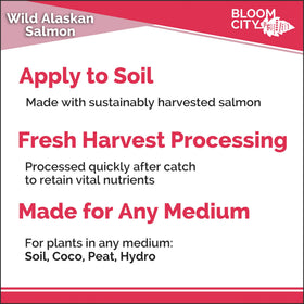 Bloom City Organic Wild Fish Fertilizer ready-to-use bottle in a sunny garden setting.