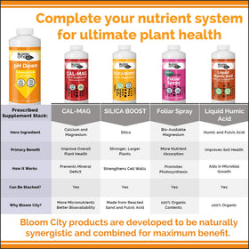Bloom City pH Down dilution ready for test and adjustment