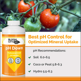 Bloom City pH Down label with usage directions