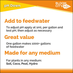 Bloom City pH Down added to soil watering for pH tuning