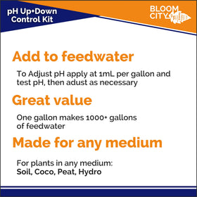 Bloom City pH Up Down bottle dosing supports controlled adjustments.