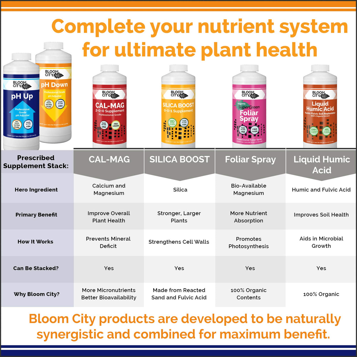 Bloom City pH Up Down bottle organized setup for pH management.