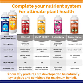 Bloom City pH Up Down bottle organized setup for pH management.