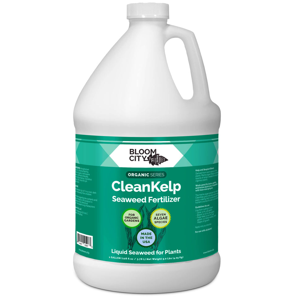 Bloom City Seaweed Fertilizer bottle pour showcases easy application for stronger roots.