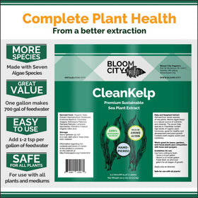 Bloom City Seaweed Fertilizer dissolving in water demonstrates even nutrient distribution.