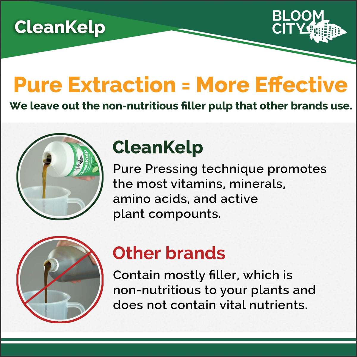 Bloom City Seaweed Fertilizer label detail shows organic kelp sources.