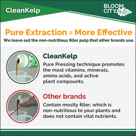 Bloom City Seaweed Fertilizer label detail shows organic kelp sources.
