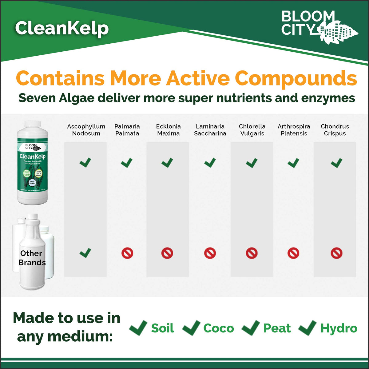 Bloom City Seaweed Fertilizer root growth graphic highlights stronger roots.