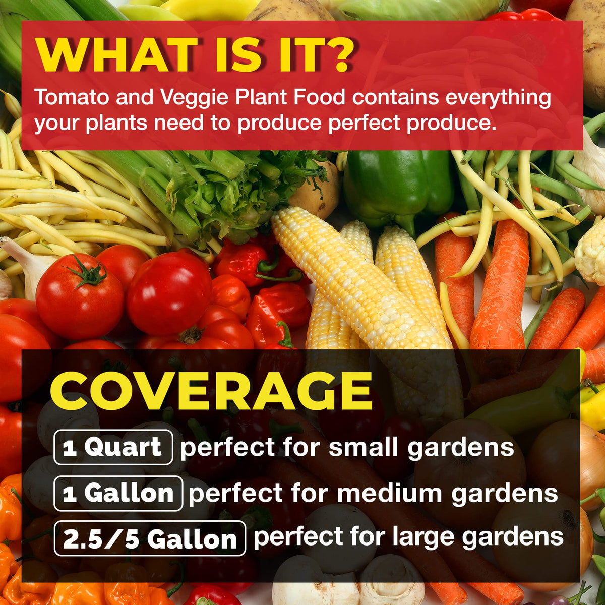 Bloom City Tomato & Veggie Plant Food applied to roots promoting stronger growth.