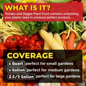 Bloom City Tomato & Veggie Plant Food applied to roots promoting stronger growth.