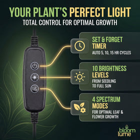 Bloom Lume dimmable intensity control for tailored light levels.