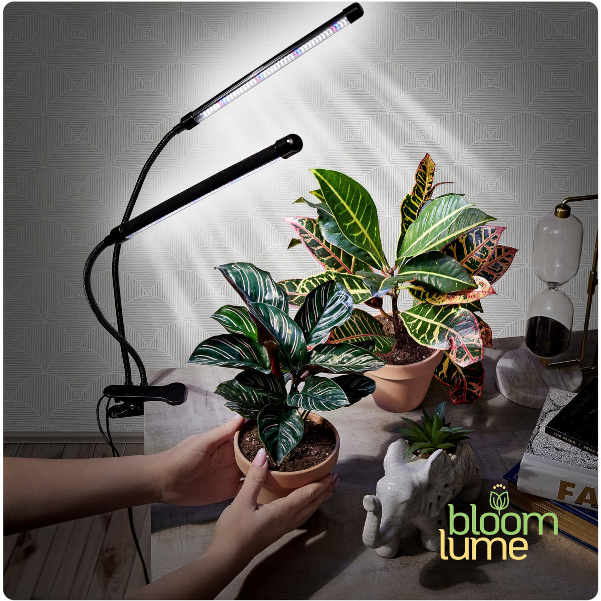 Bloom Lume energy-efficient LED plant light reduces power use while boosting output.