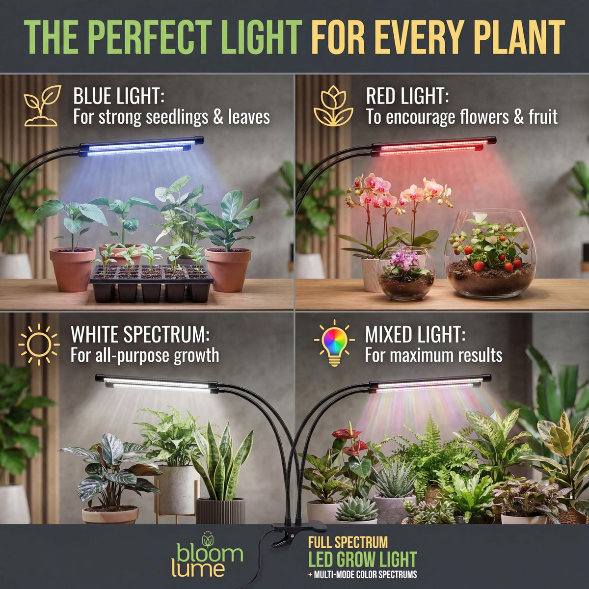 Bloom Lume multi-mode color setup enables customized growth stages.