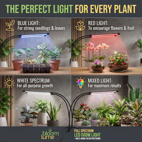 Bloom Lume multi-mode color setup enables customized growth stages.