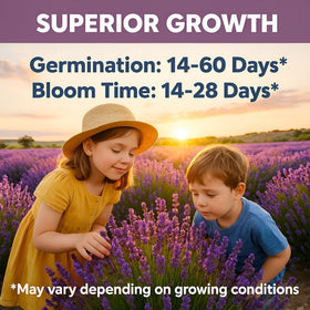 Bloomtiva cold stratification process preparing seeds for germination