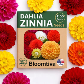 Bloomtiva dahlia zinnia seeds bulk pack showing mixed colors for vibrant borders