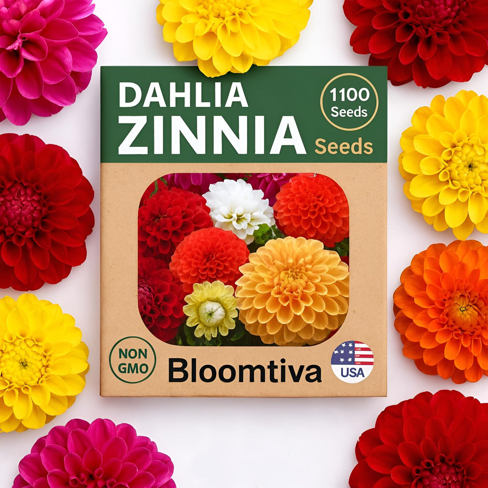 Bloomtiva dahlia zinnia seeds bulk pack showing mixed colors for vibrant borders